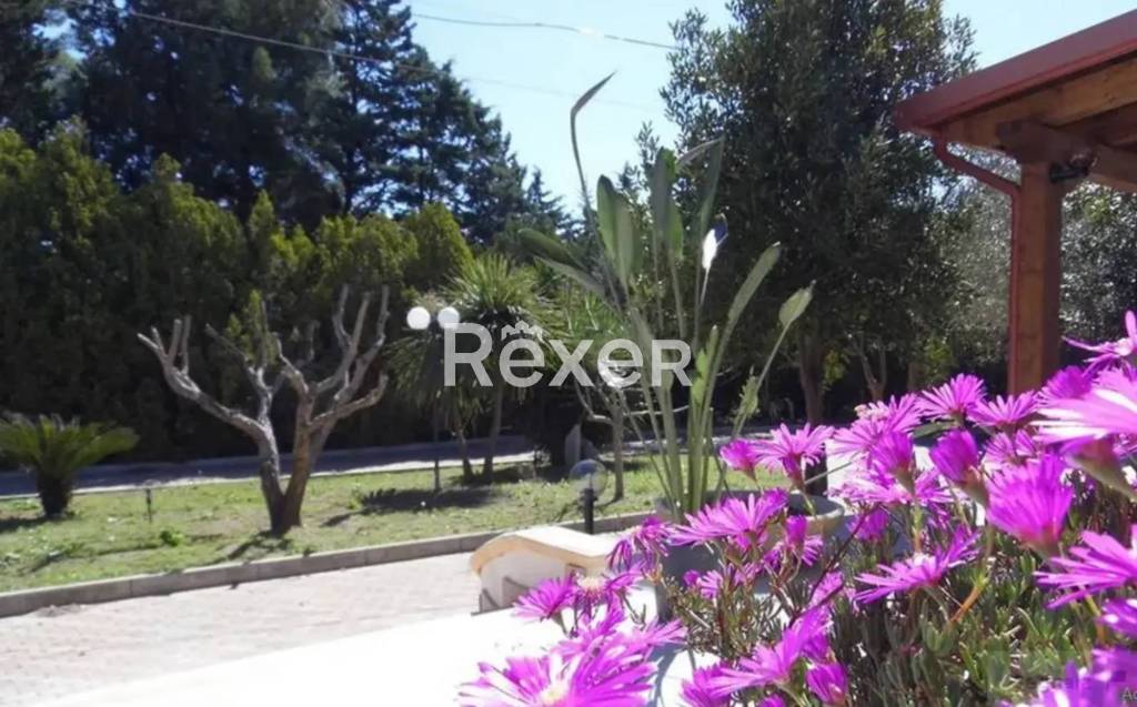 immagine annuncio 6 di 14