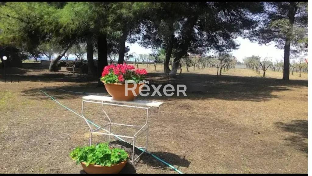 immagine annuncio 11 di 14