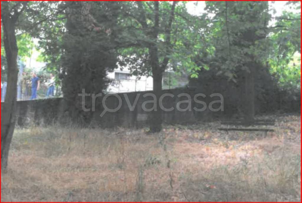 immagine annuncio 3 di 12