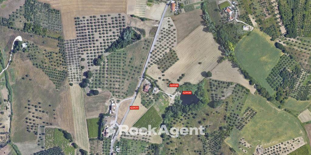 immagine annuncio 2 di 13