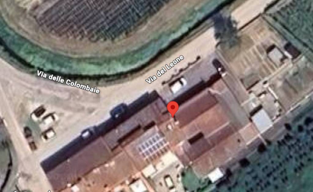 immagine annuncio 7 di 11