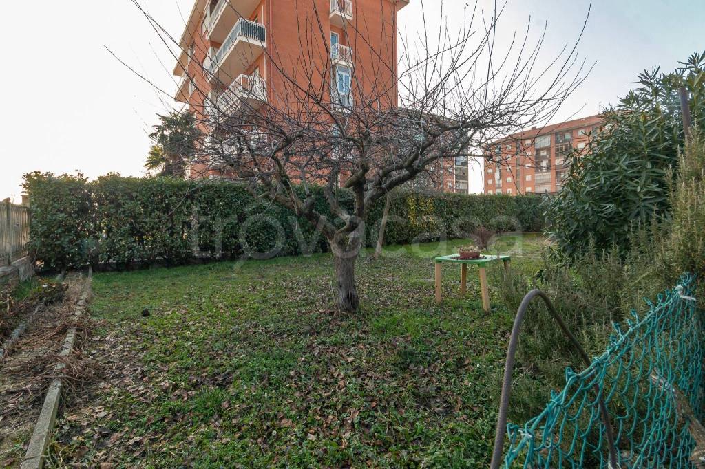 immagine annuncio 5 di 8