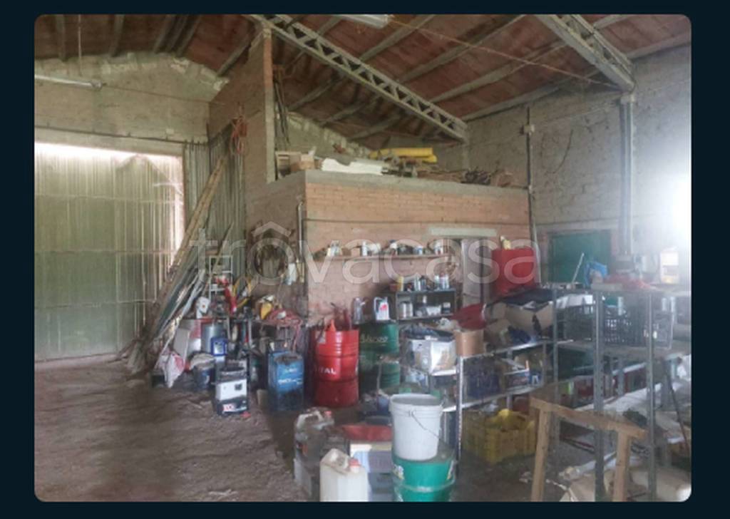 immagine annuncio 3 di 11