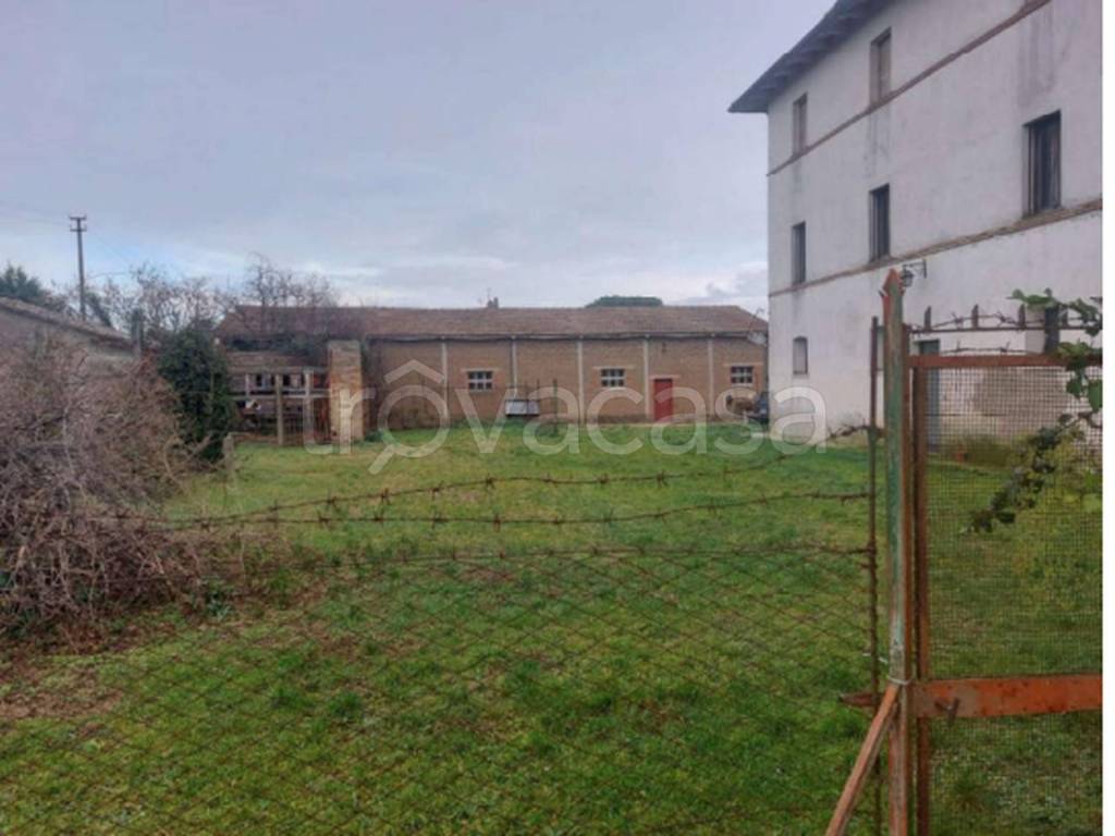 immagine annuncio 5 di 11