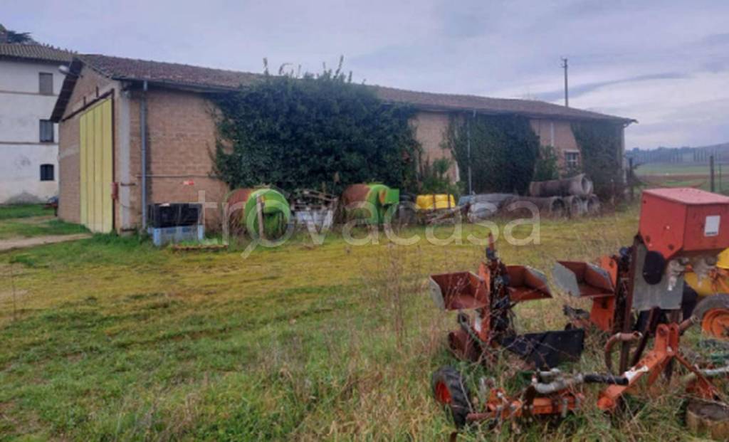 immagine annuncio 8 di 11