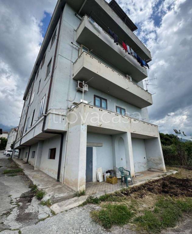 immagine annuncio 7 di 12