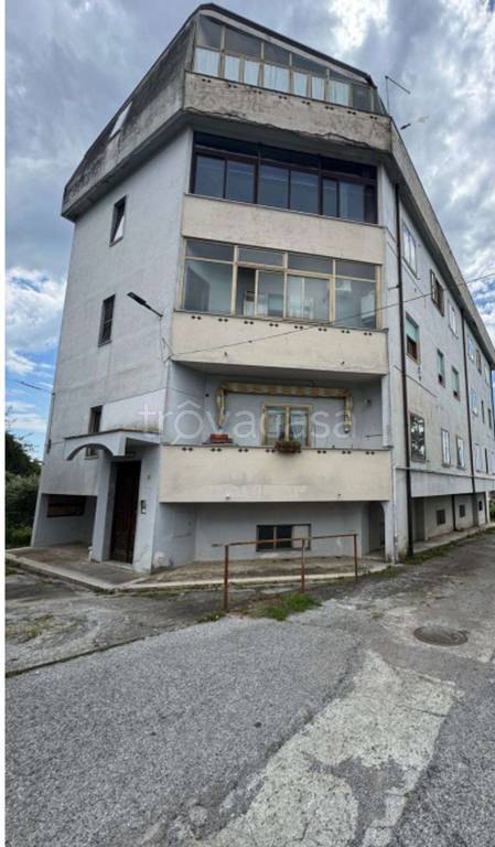 immagine annuncio 8 di 12