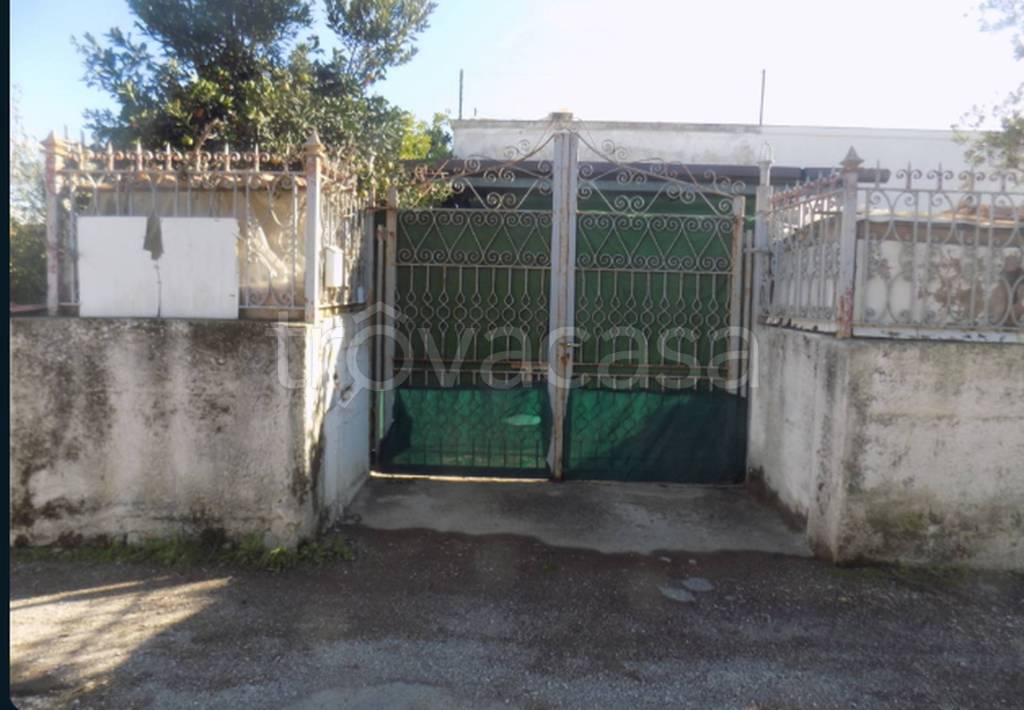 immagine annuncio 6 di 11