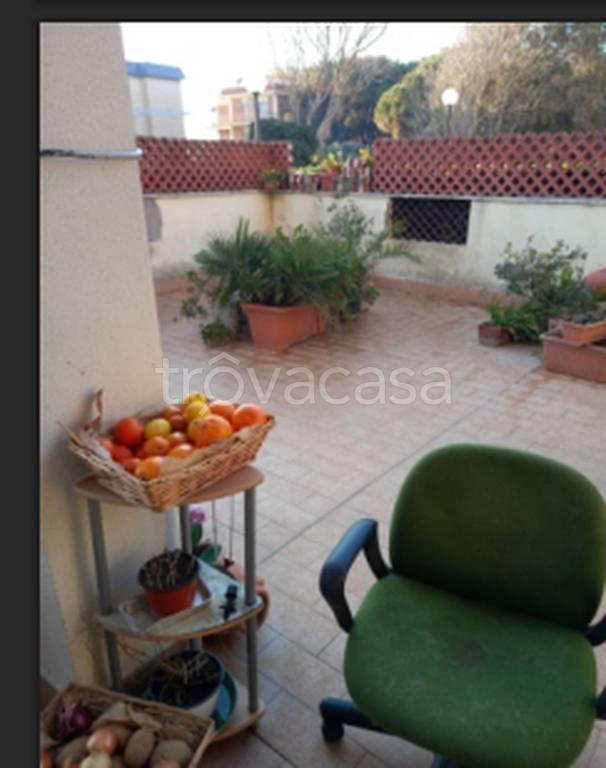 immagine annuncio 7 di 12