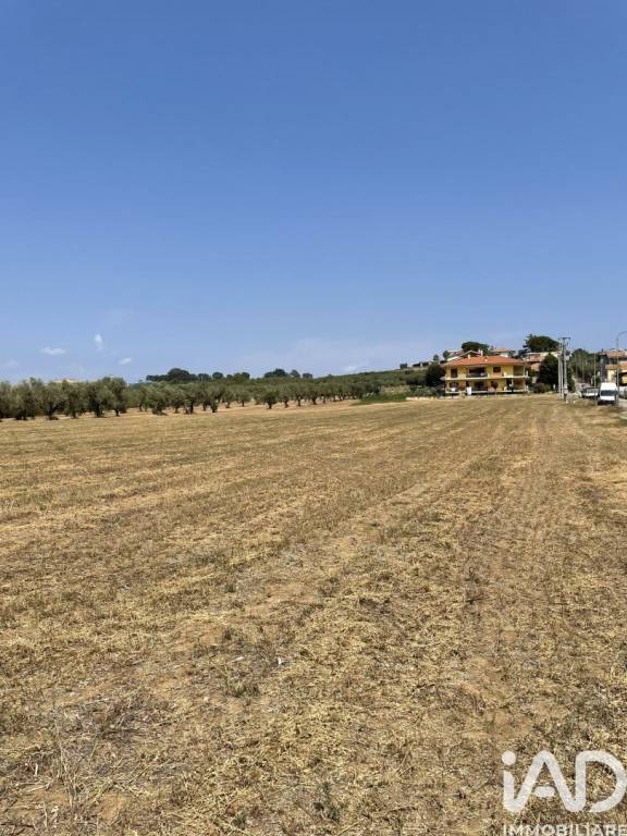 immagine annuncio 5 di 12