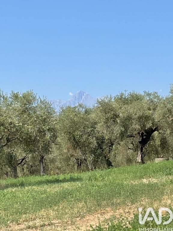immagine annuncio 7 di 12