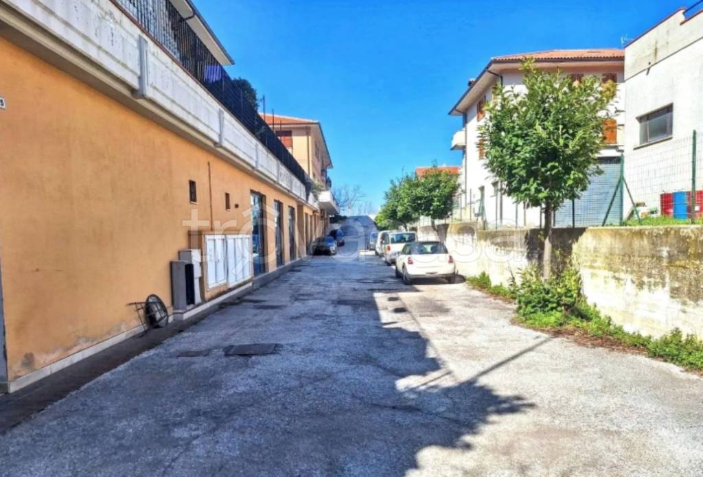 immagine annuncio 3 di 11