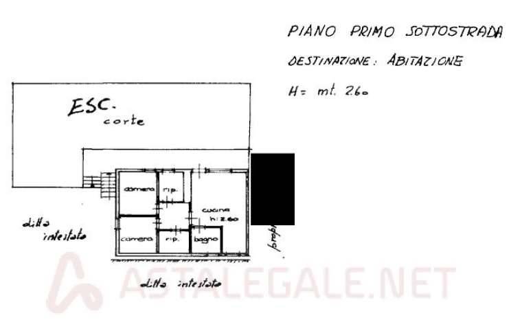 immagine annuncio 2 di 9