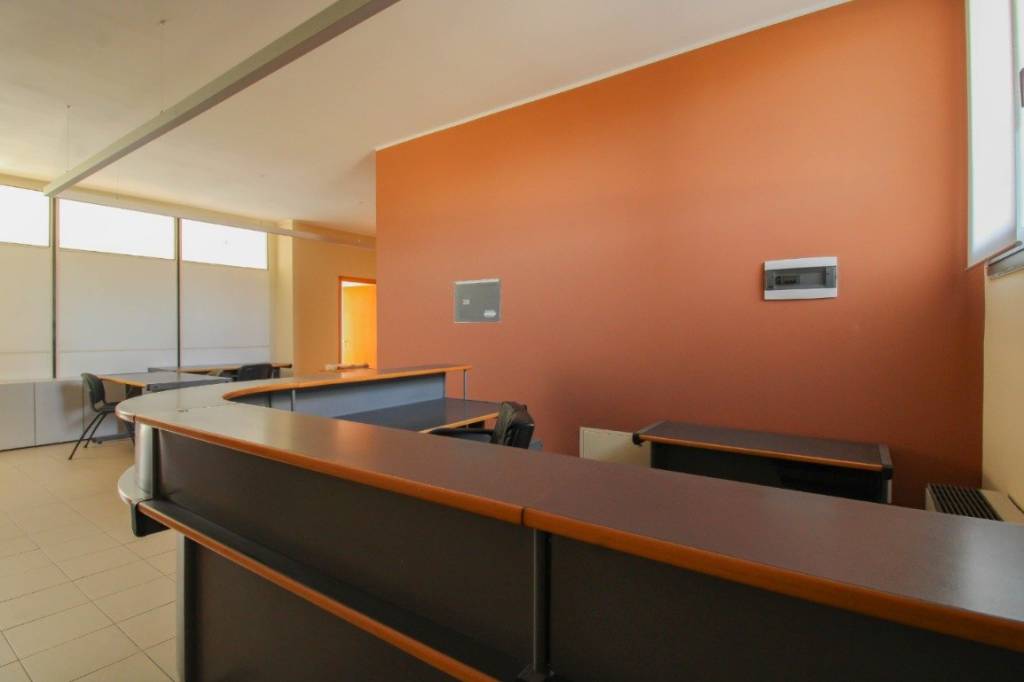 immagine annuncio 1 di 14