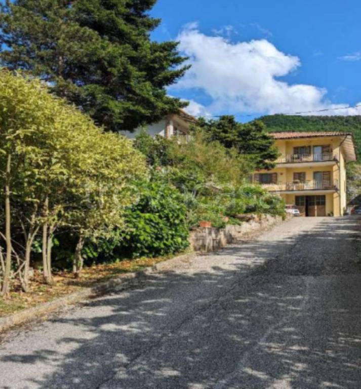 immagine annuncio 3 di 14