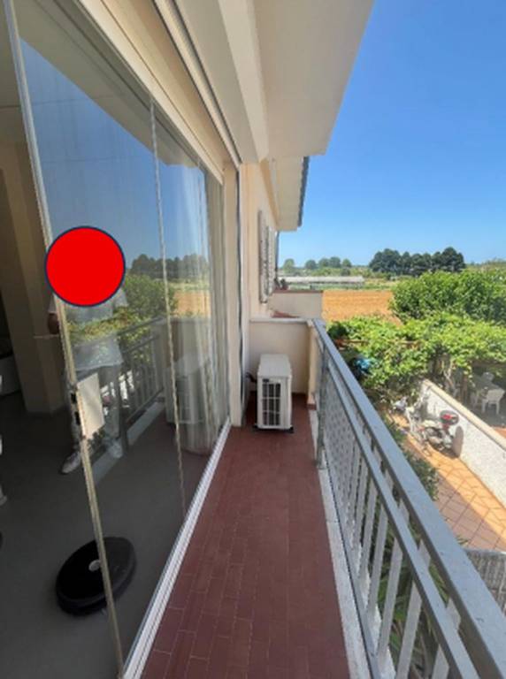 immagine annuncio 11 di 14