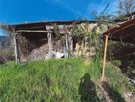 immagine annuncio 4 di 13