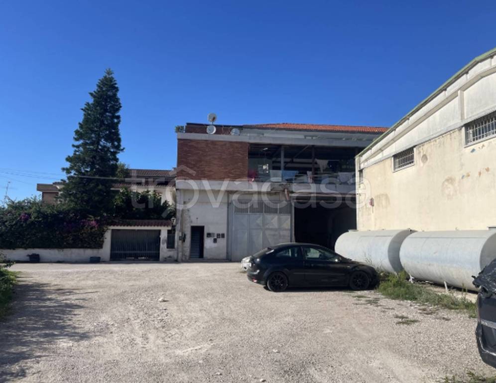 immagine annuncio 7 di 11