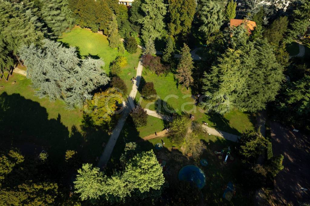 immagine annuncio 7 di 12