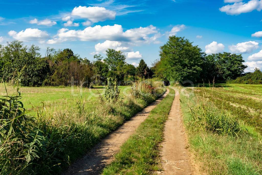 immagine annuncio 10 di 12