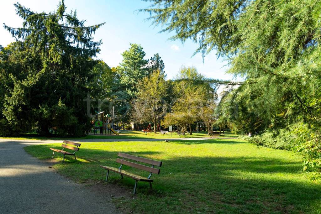 immagine annuncio 11 di 12