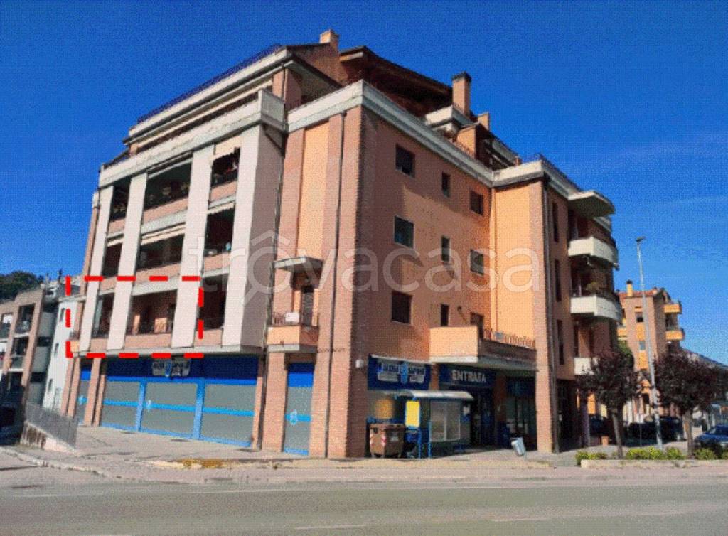 immagine annuncio 12 di 13