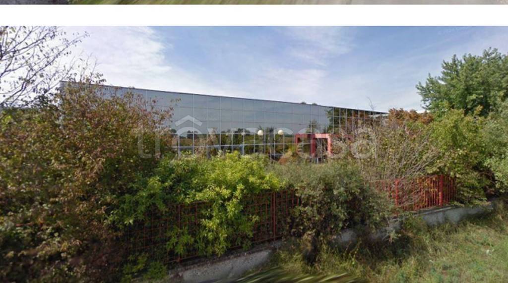 immagine annuncio 2 di 11