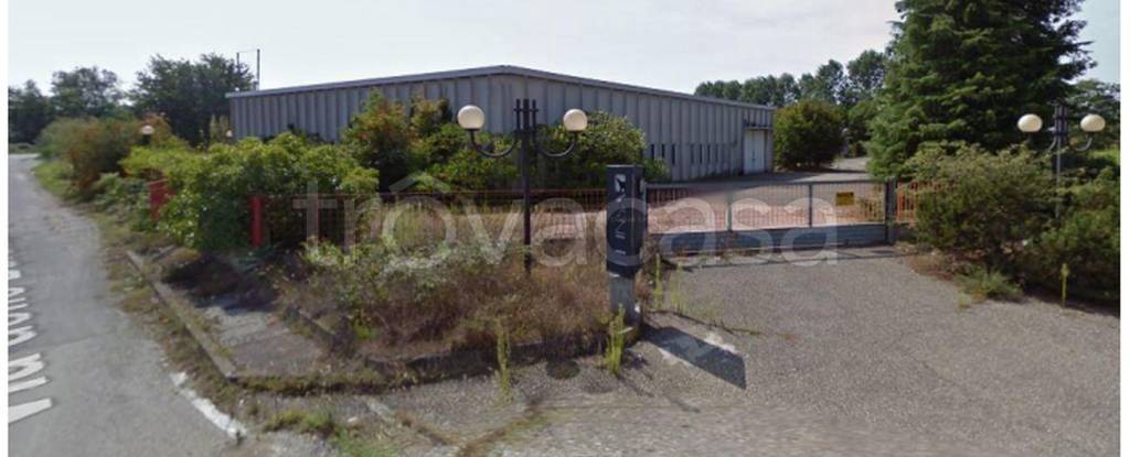 immagine annuncio 5 di 11