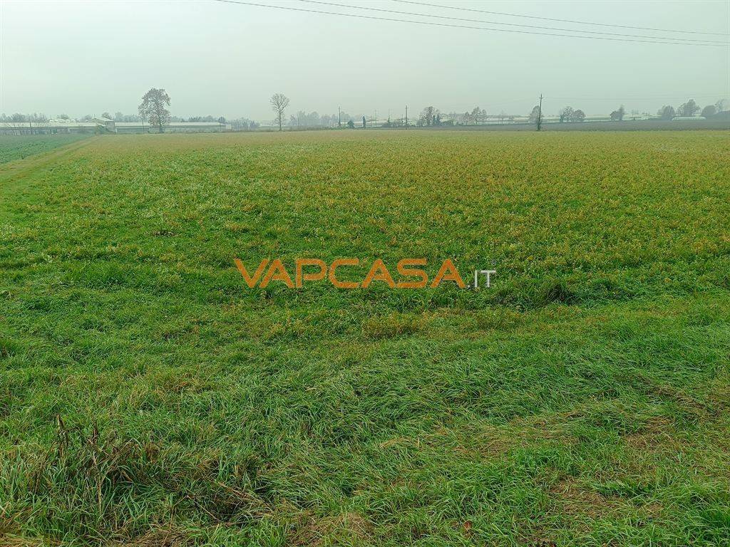 immagine annuncio 3 di 11