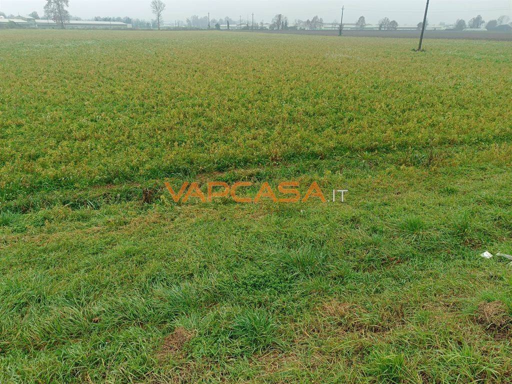 immagine annuncio 5 di 11