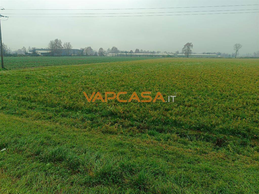 immagine annuncio 8 di 11