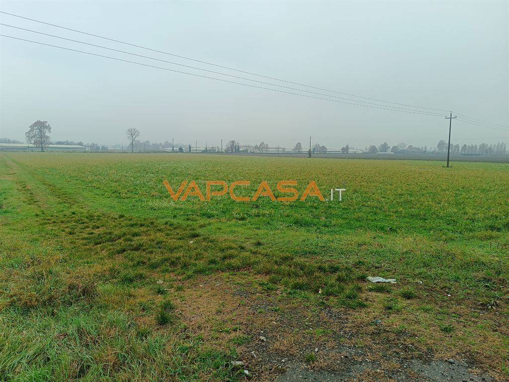 immagine annuncio 10 di 11