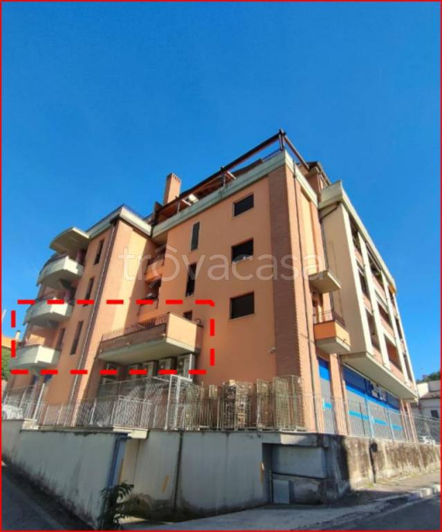 immagine annuncio 1 di 12