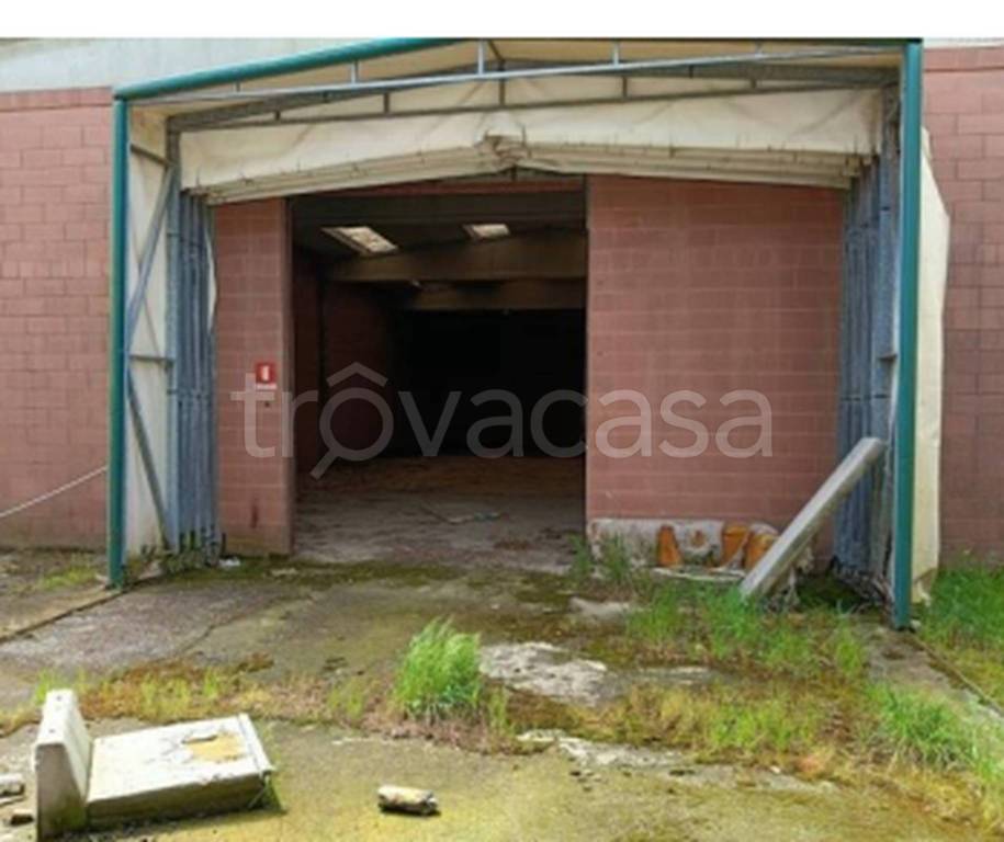 immagine annuncio 7 di 11