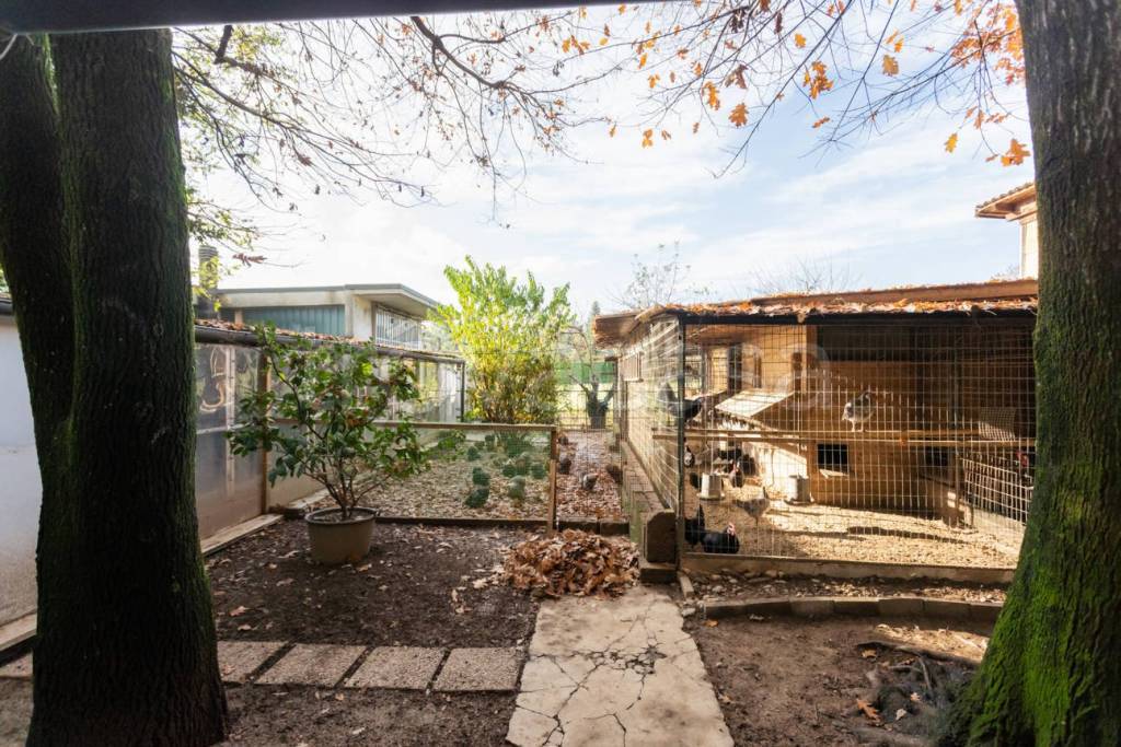 immagine annuncio 4 di 15