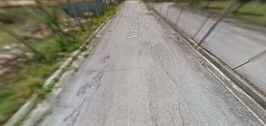 immagine annuncio 5 di 14