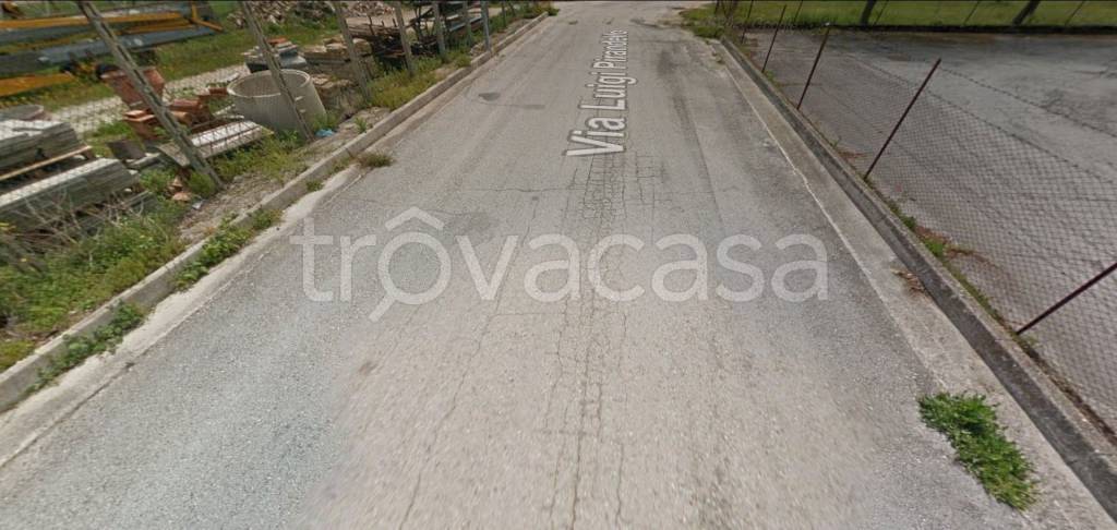 immagine annuncio 10 di 14