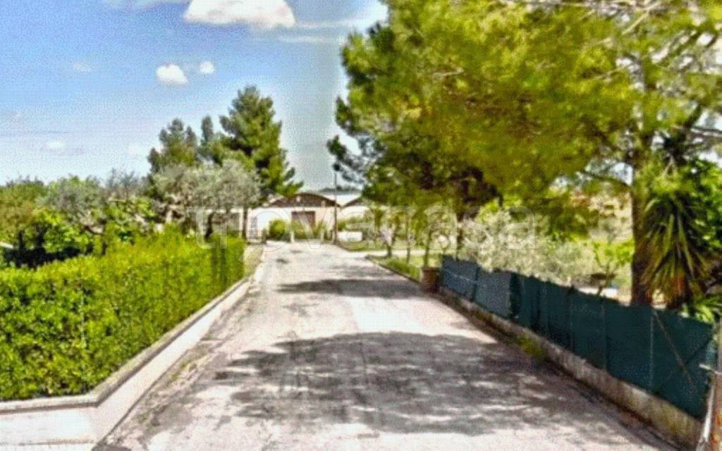 immagine annuncio 13 di 14