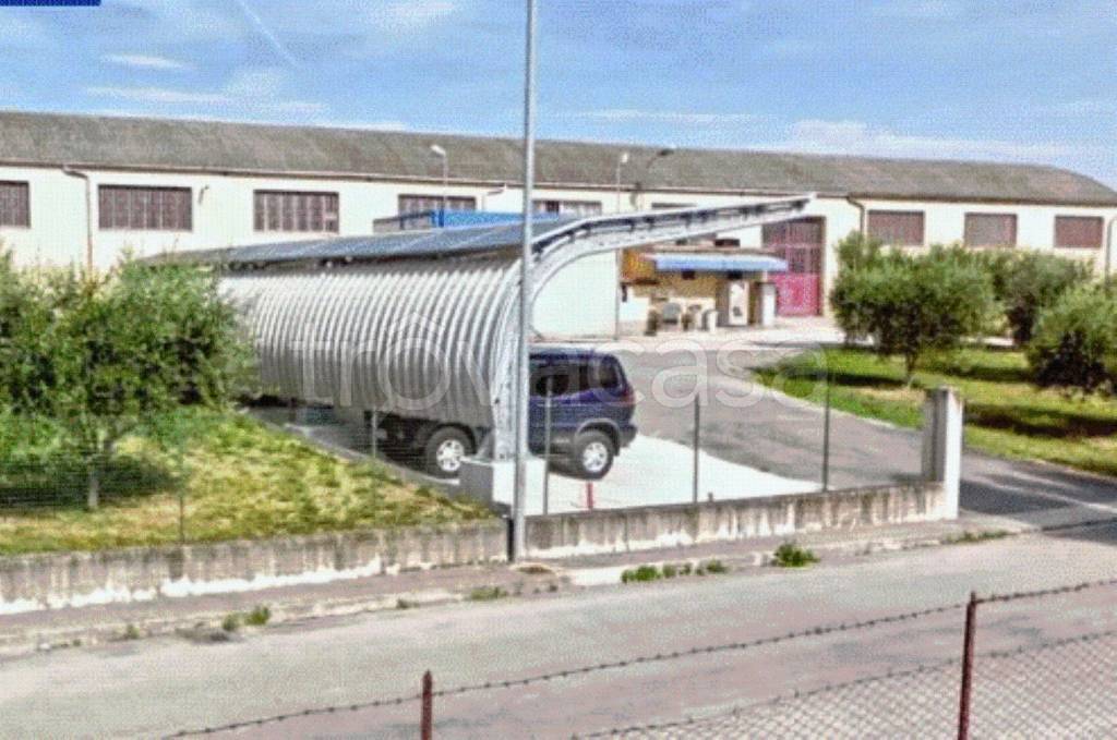 immagine annuncio 3 di 14