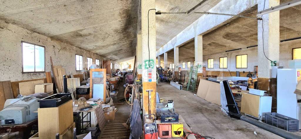 immagine annuncio 12 di 15