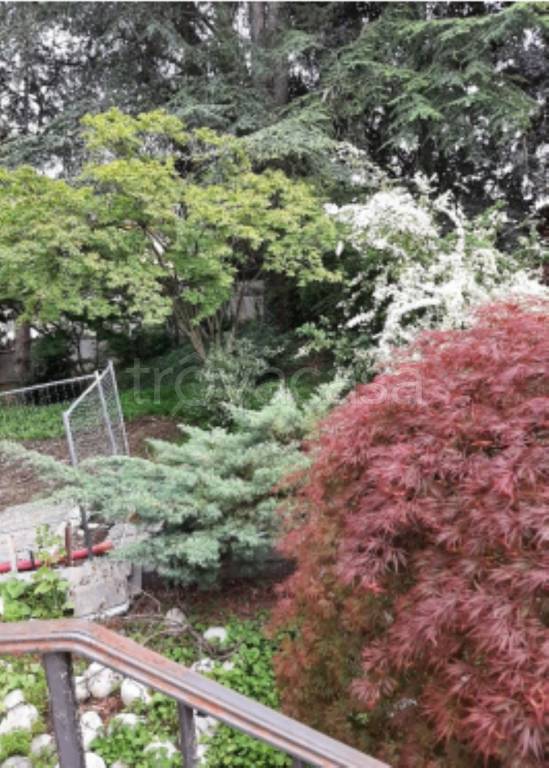 immagine annuncio 3 di 11