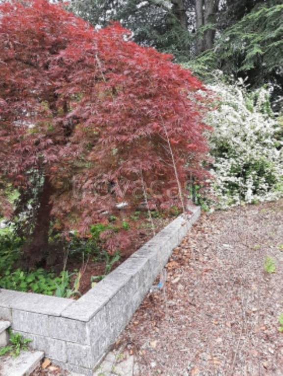 immagine annuncio 4 di 11