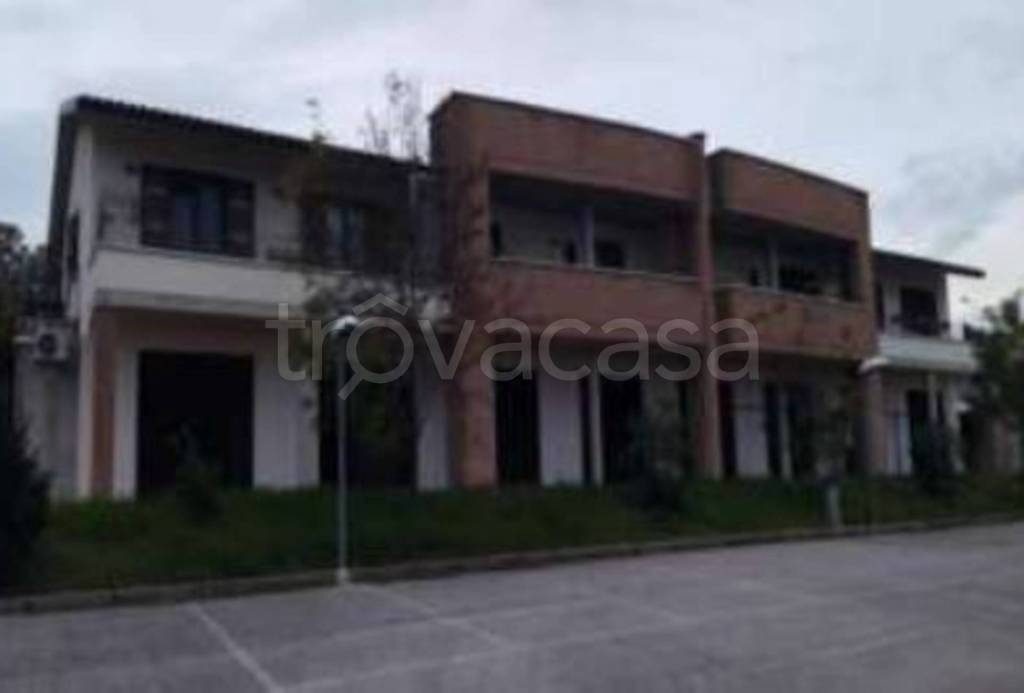 immagine annuncio 7 di 9