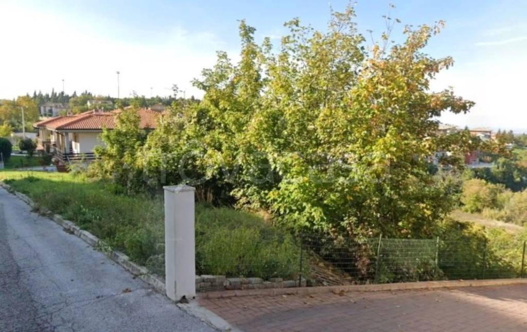 immagine annuncio 4 di 12