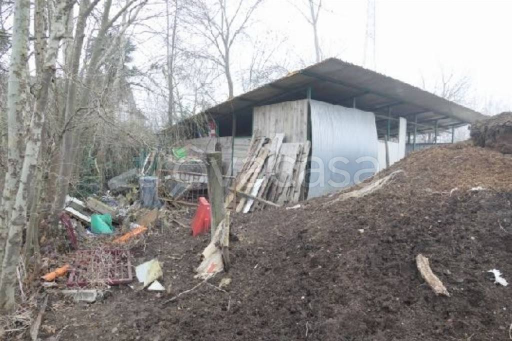 immagine annuncio 9 di 15