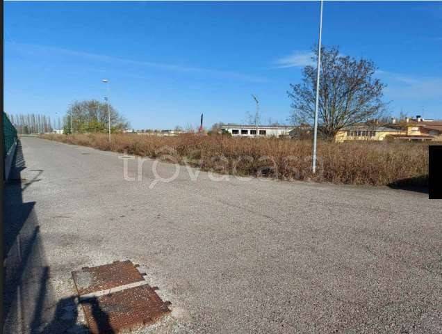 immagine annuncio 6 di 14