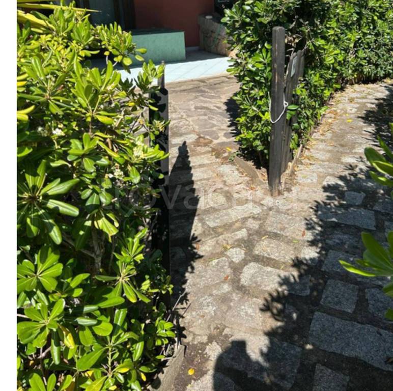 immagine annuncio 3 di 8