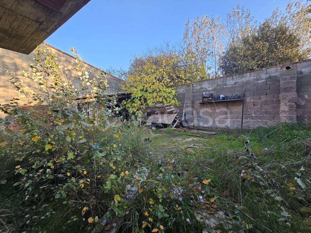 immagine annuncio 7 di 8