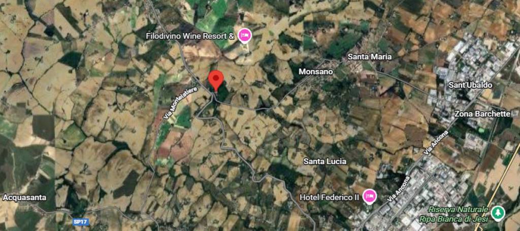 immagine annuncio 9 di 11