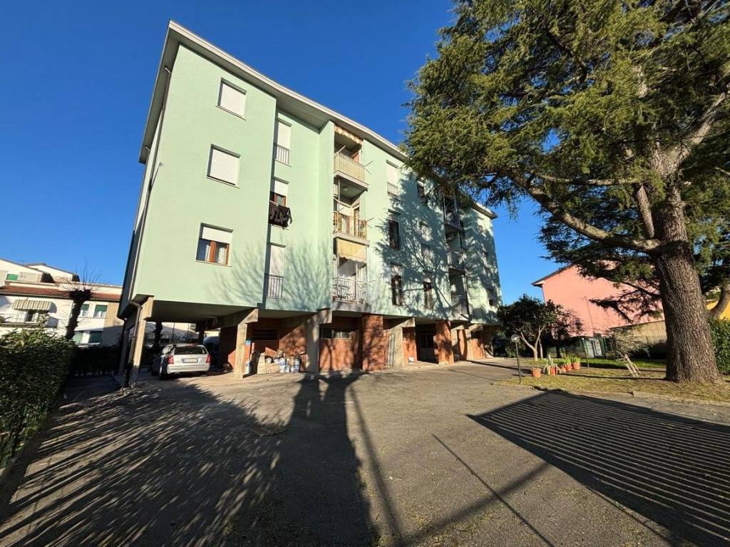 immagine annuncio 12 di 14